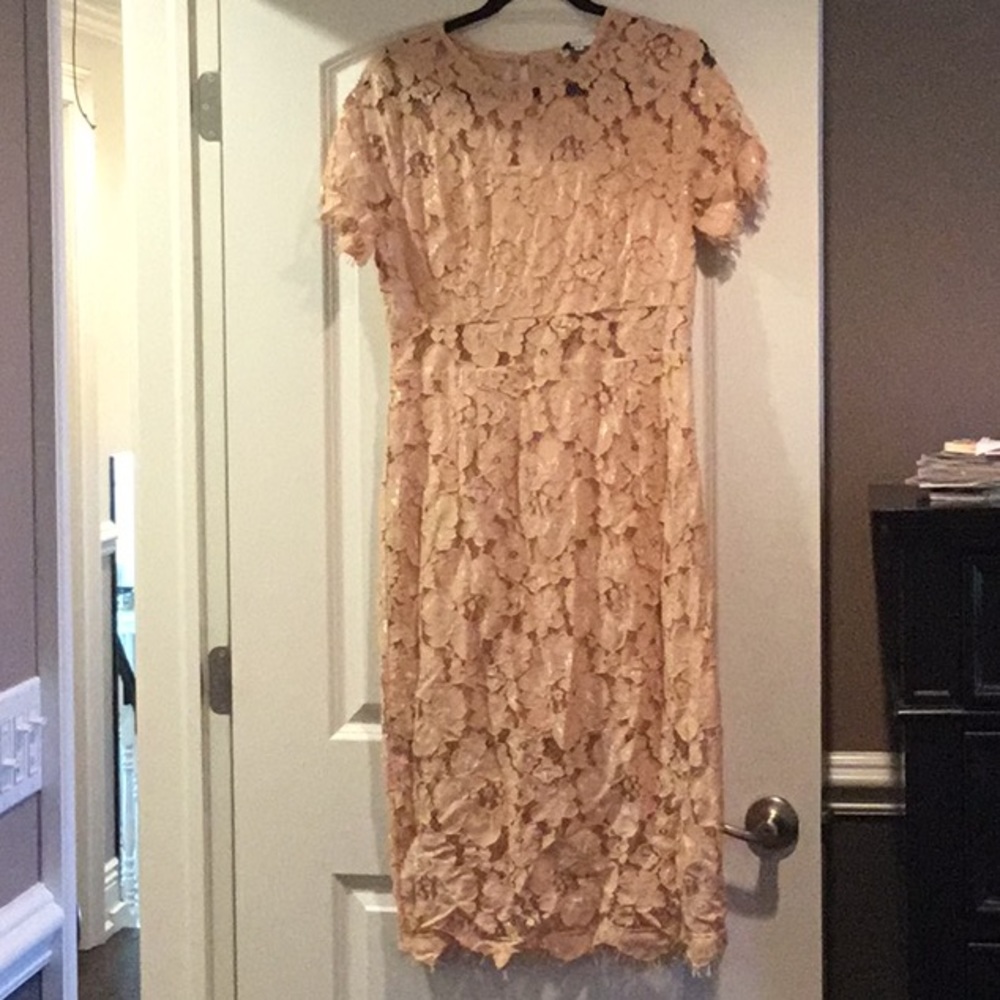 NSR Lace Dress